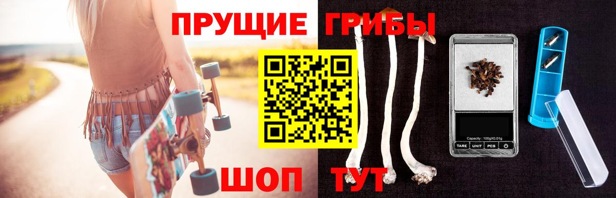 Псилоцибиновые грибы Magic Shrooms  Вход с VPN  Котлас 